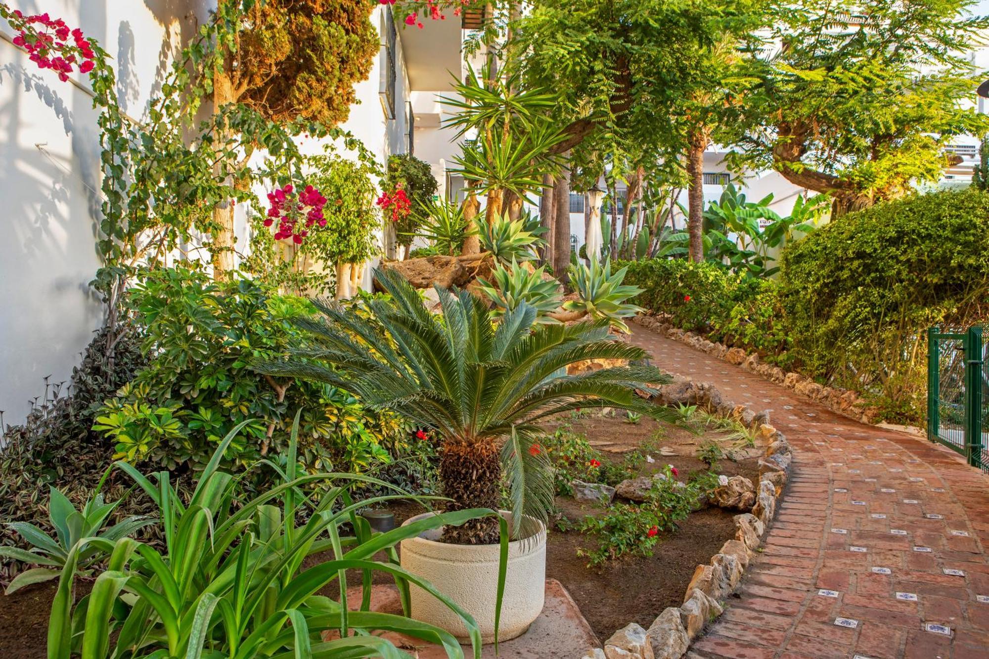 Royal Oasis Club At Pueblo Quinta Aparthotel Benalmadena Luaran gambar